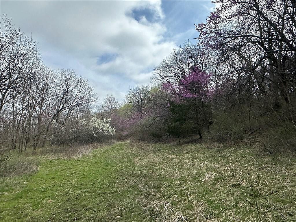 10500 E 329th St Drexel, MO 64742  | Land/Lot