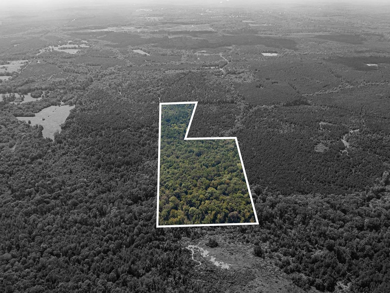 County Road 1582 Avinger, TX 75630 | Land/Lot