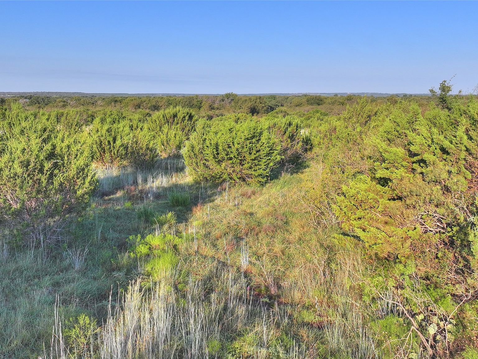 7800 Boswell Ct Lipan, TX 76462 | Land/Lot