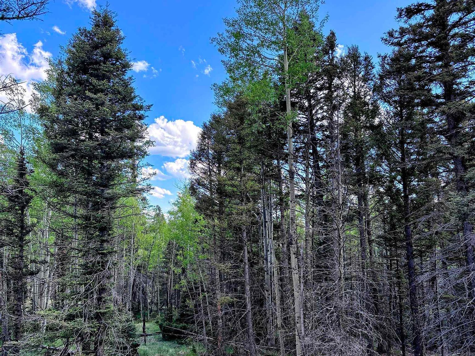 LOT 1042 Starshine Overlook Angel Fire, NM 87710 | Land/Lot