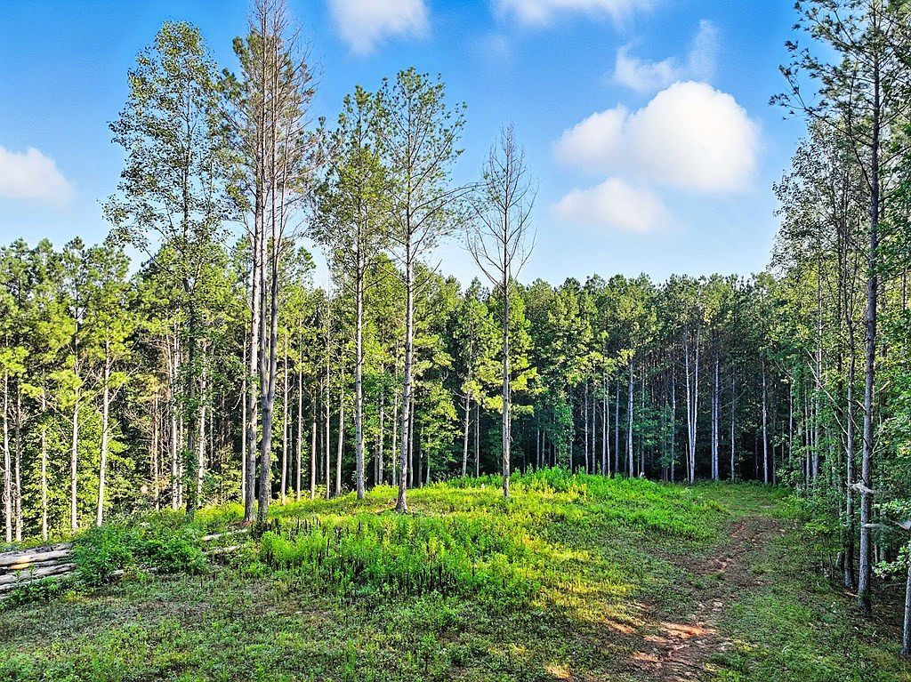 31&32 Foxpaw Leaf Ln Ellijay, GA 30536  | Land/Lot