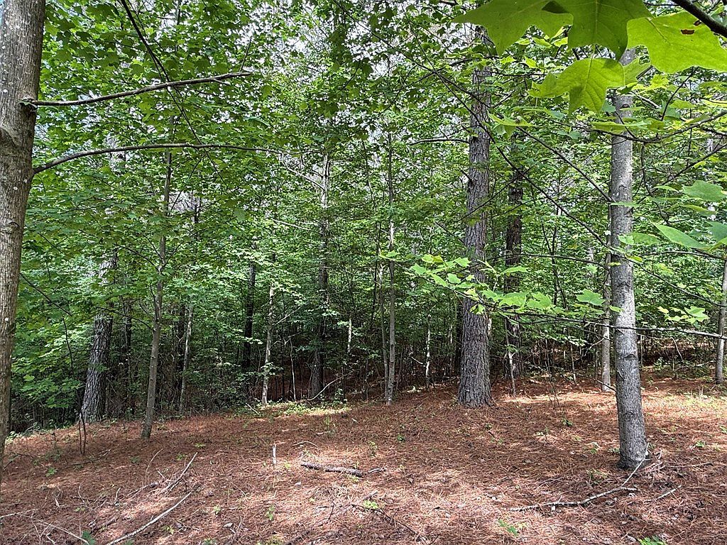 LOT 9 Eastview Trl Ellijay, GA 30536 | Land/Lot