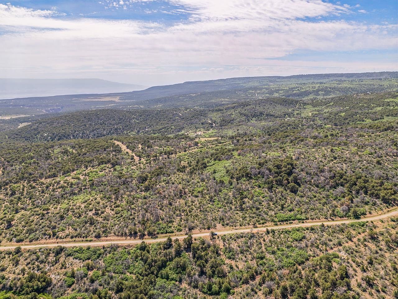 Tbd Elk Reserve Rd Glade Park, CO 81523  | Land/Lot