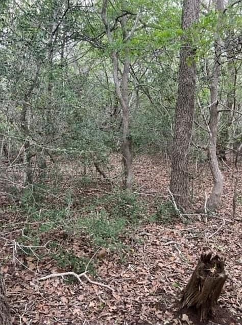 LOT 755 Bali Hai Ln Bastrop, TX 78602  | Land/Lot