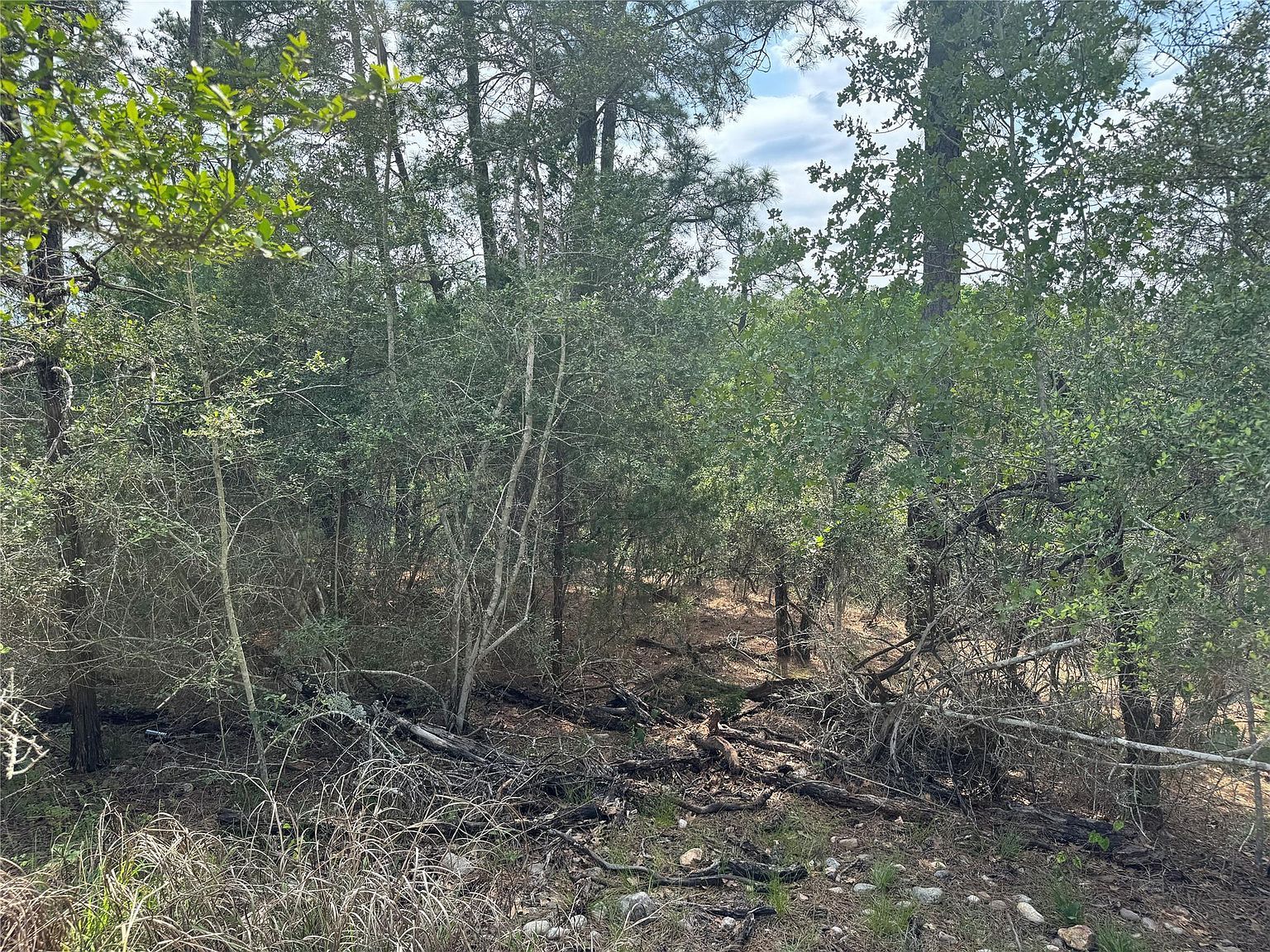 Lots 1263 1264 1265 Hanauma Dr Bastrop, TX 78602  | Land/Lot