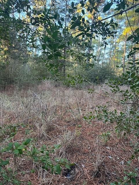 107 Lake Point Way Bastrop, TX 78602  | Land/Lot