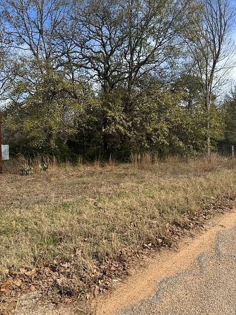 306 Travis Rd Paige, TX 78659  | Land/Lot