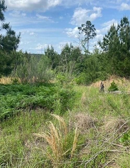 LOT 4 Kainalu Ln Bastrop, TX 78602  | Land/Lot