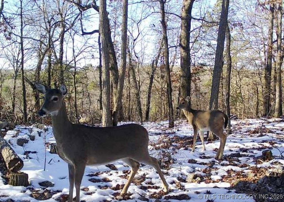 S 510th Rd, Tahlequah, OK, 74464 | Land/Lot