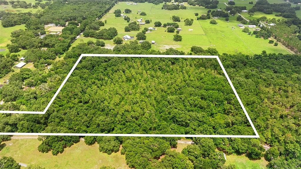 0 County Road 738 #1 Webster, FL 33597 | Land/Lot