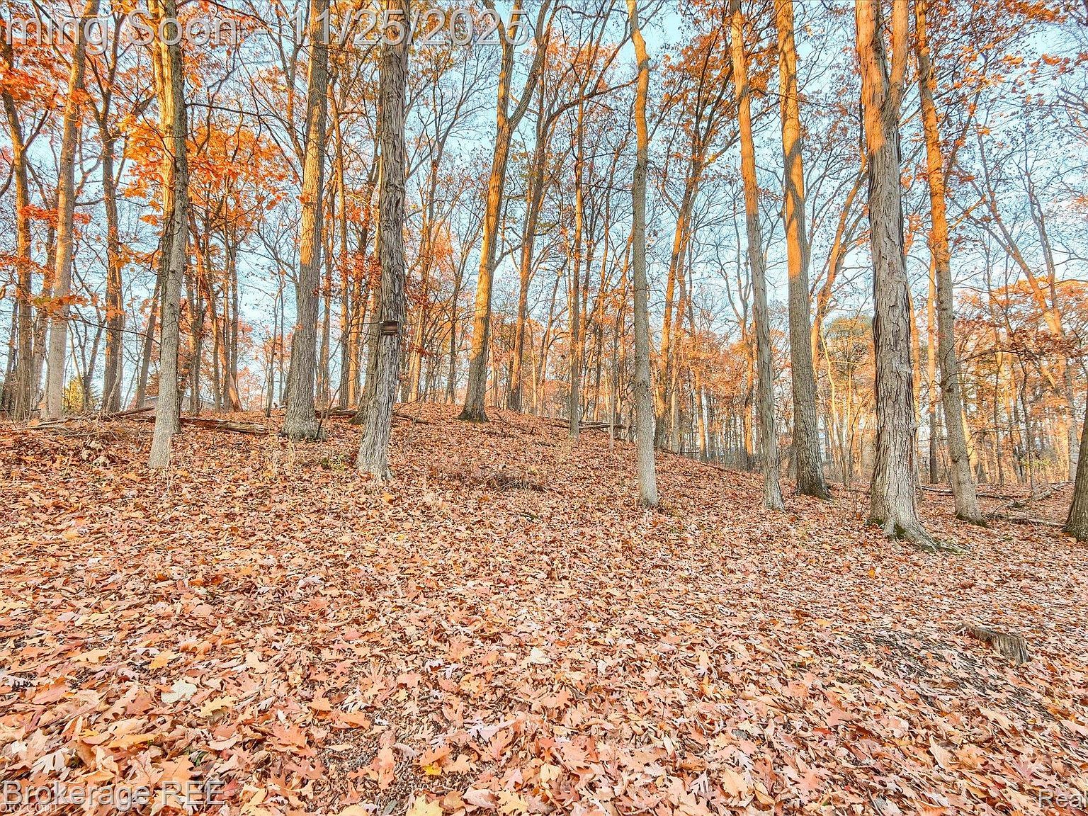 2653 Ravine Side Dr N Howell, MI 48843 | Single Family