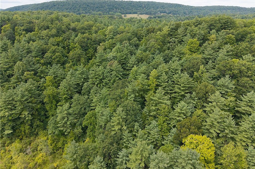0 Poags Hole Rd #55 Dansville, NY 14437 | Land/Lot