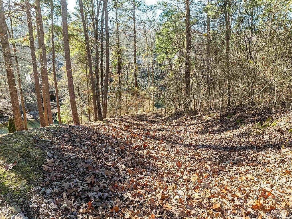 135 Cannon Ridge Point Hot Springs National Park, AR 71913  | Land/Lot