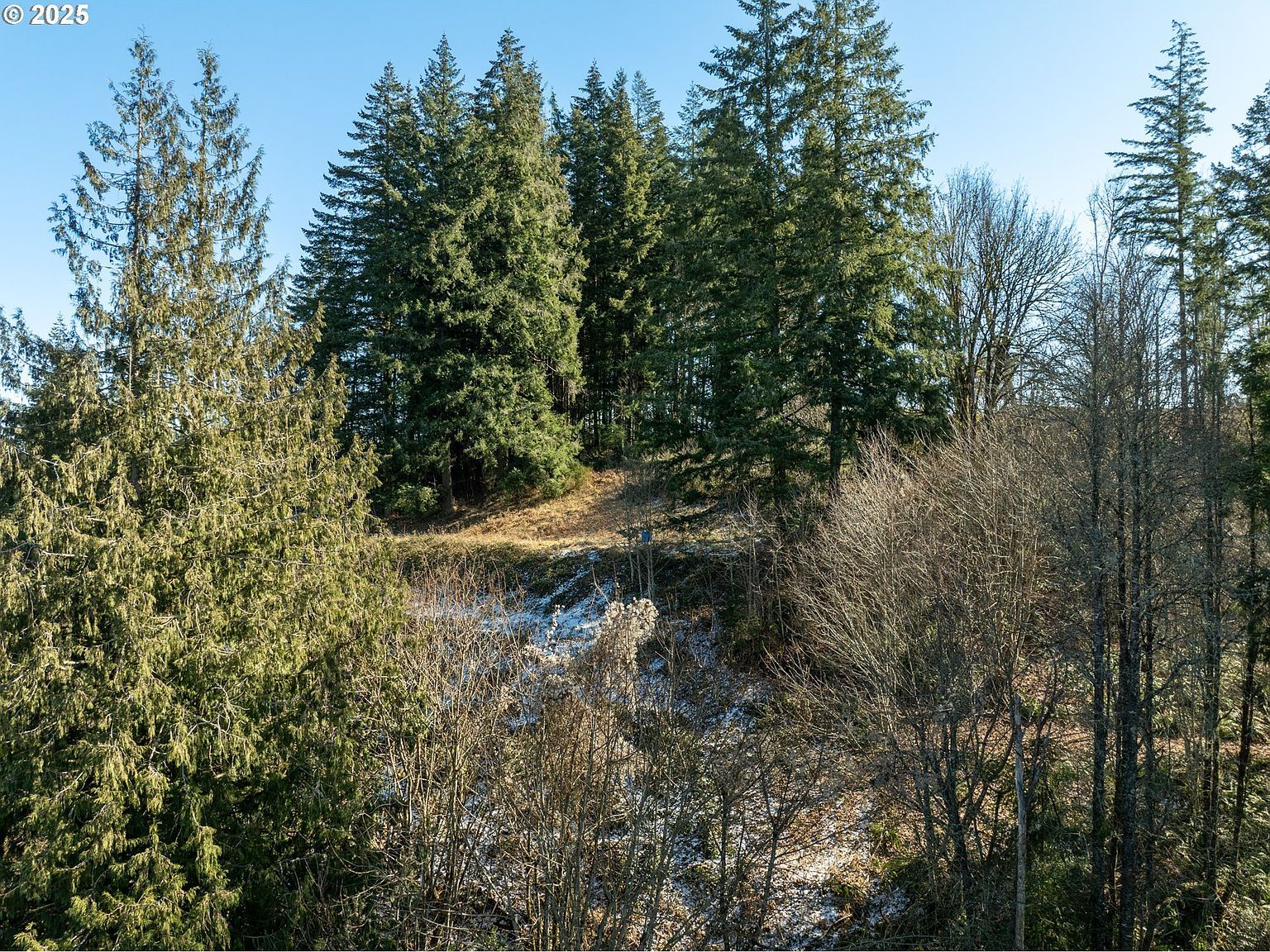 NE Cedar Creek Rd Woodland, WA 98674 | Land/Lot