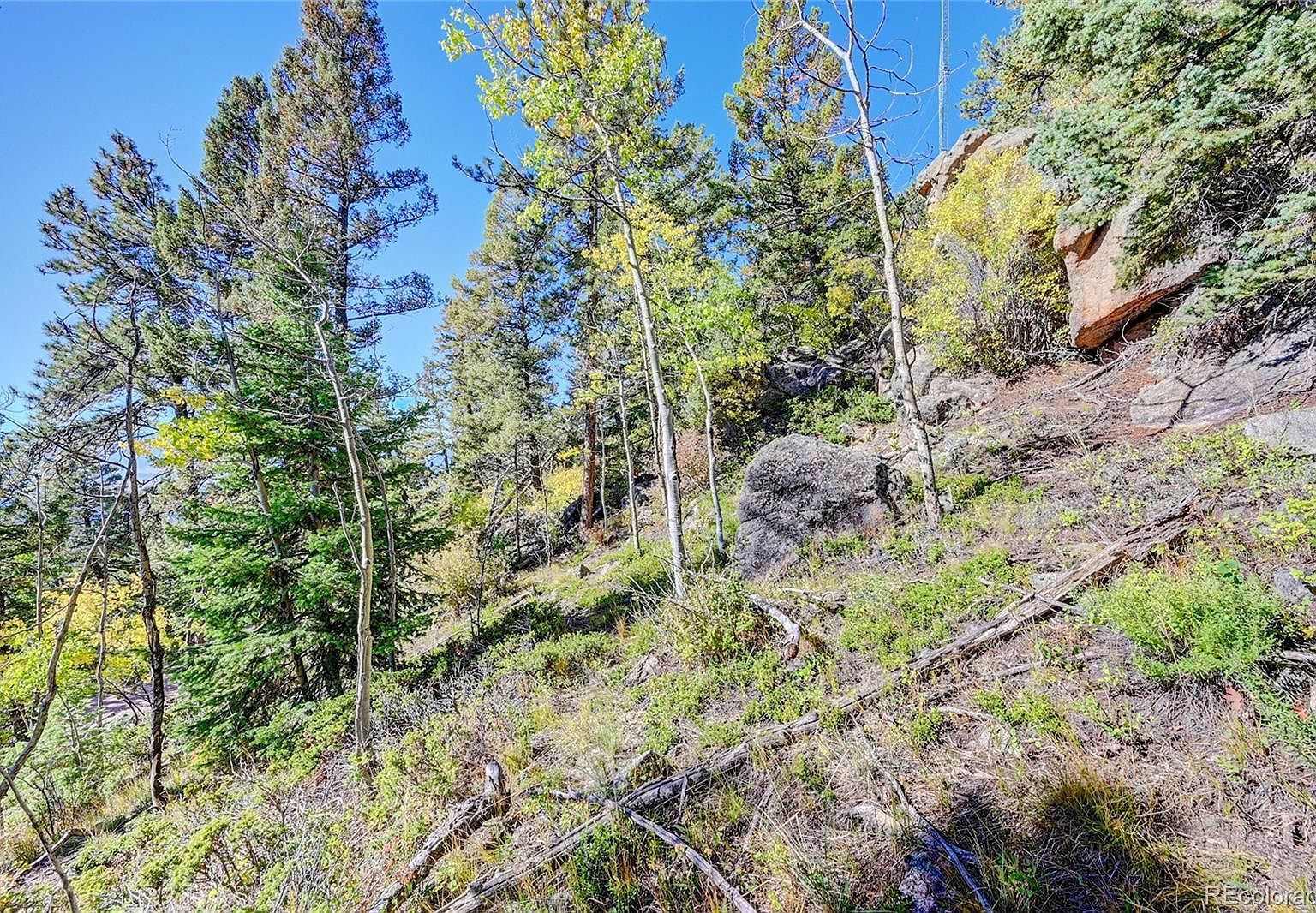 11723 Braun Way Conifer, CO 80433 | Land/Lot
