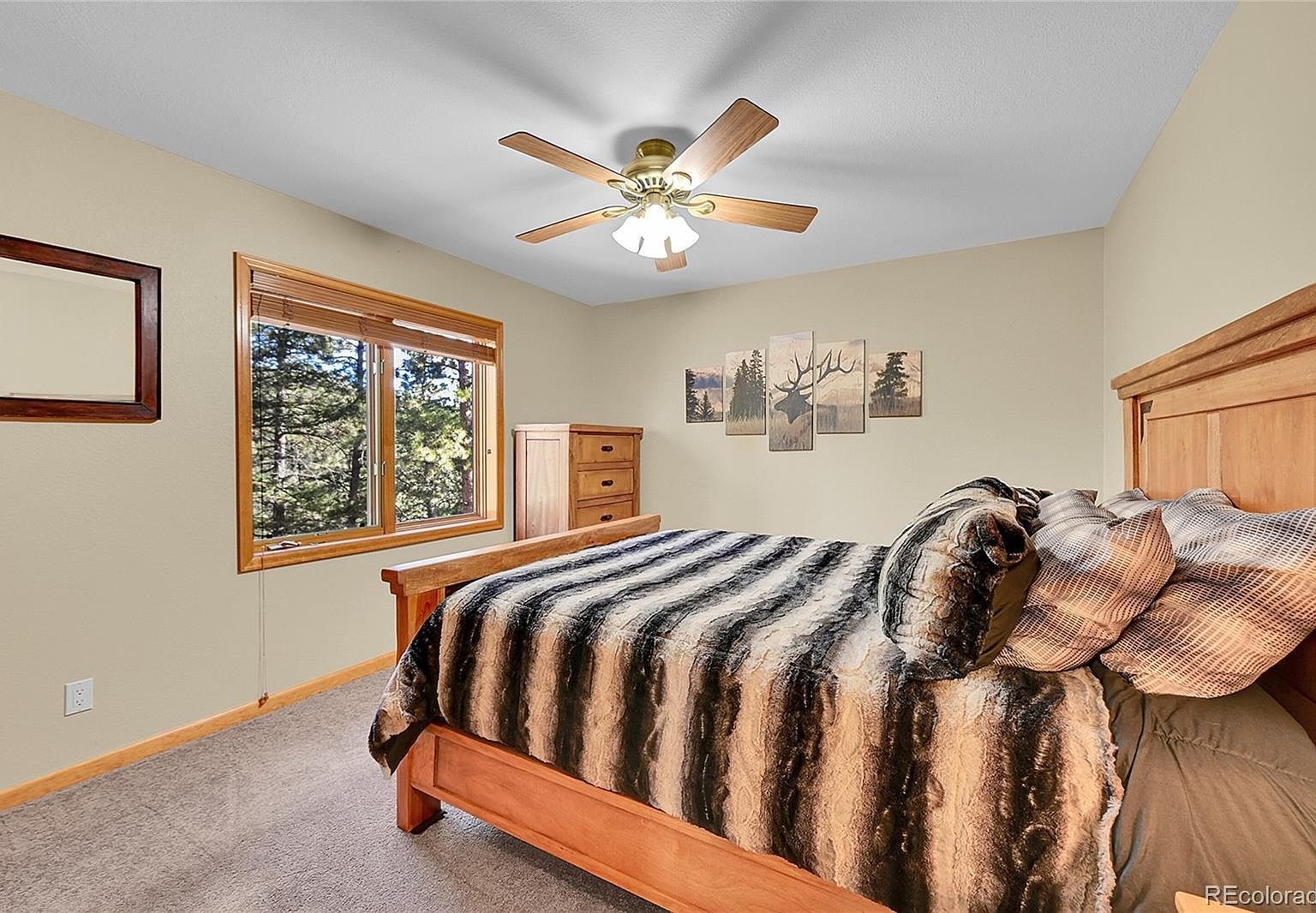 502 County Road 1034 Bailey, CO 80421 | Single Family