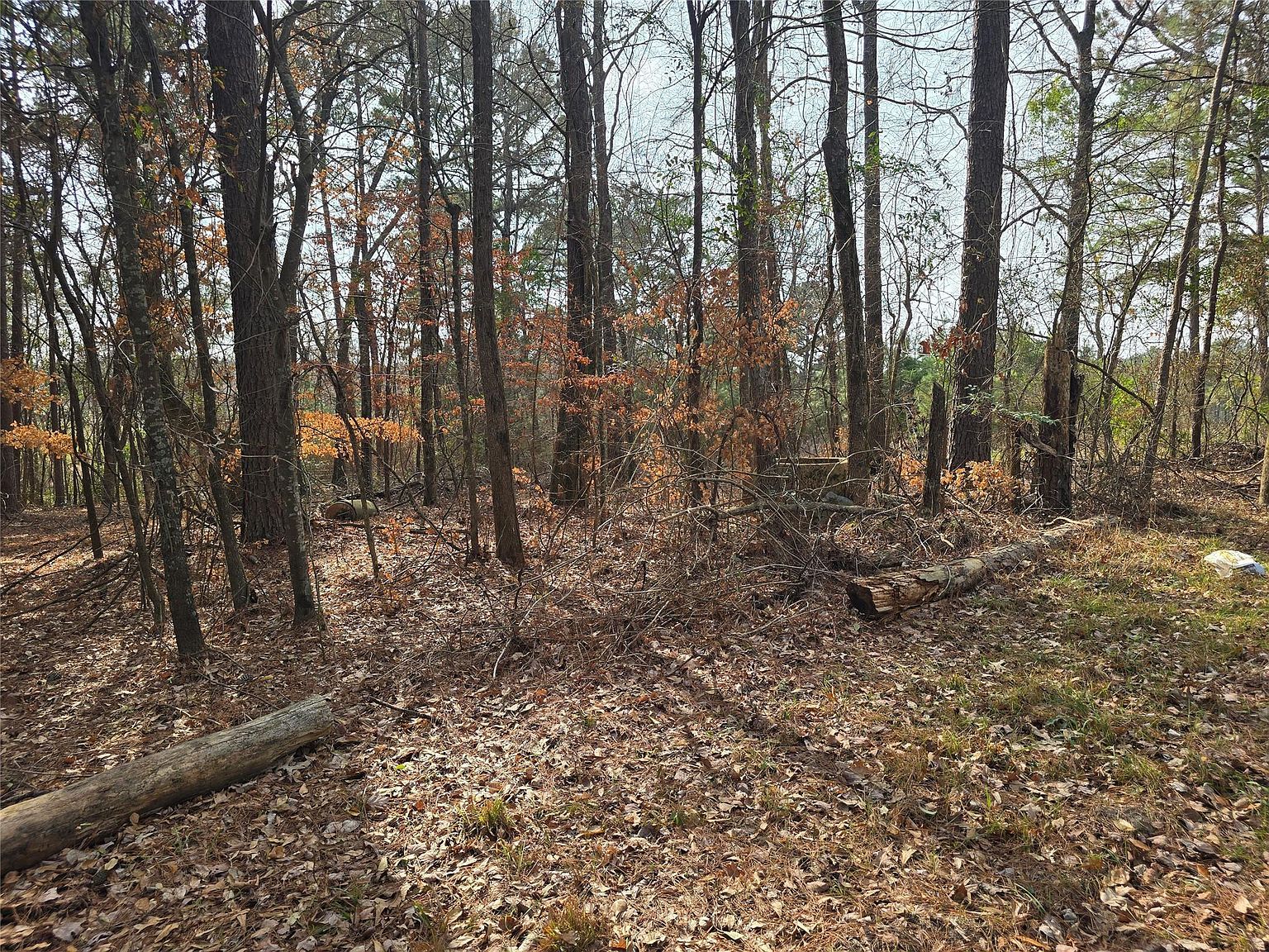 4025 State Highway 21 Hwy W Nacogdoches, TX 75964  | Land/Lot