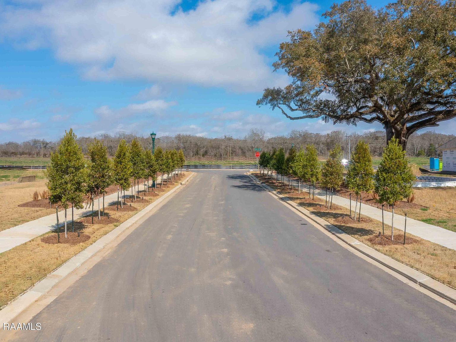 126 Castle Vine Way Lafayette, LA 70508 | Land/Lot