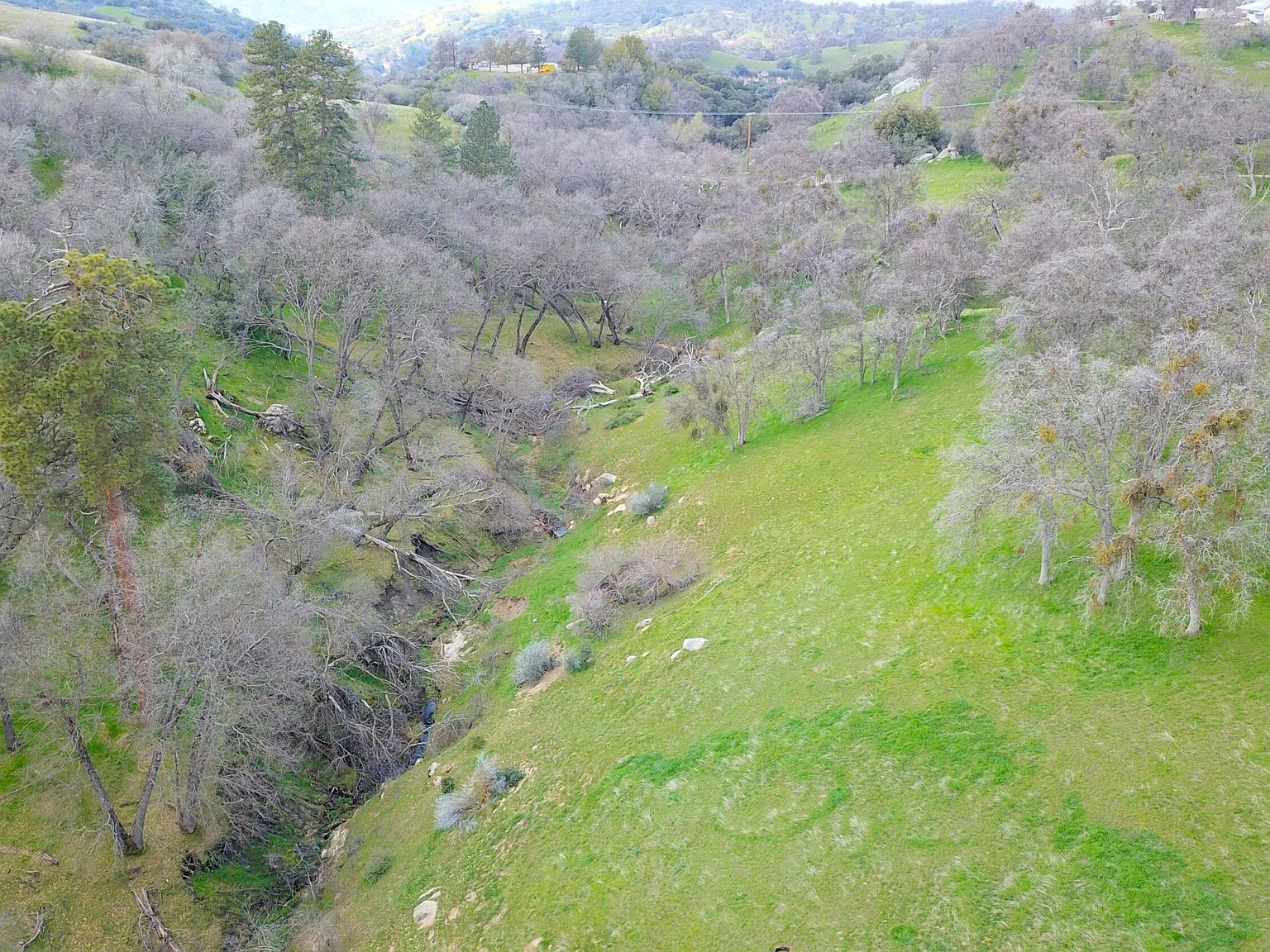 43717 Deer Creek Mill Rd California Hot Springs, CA 93207 | Single Family