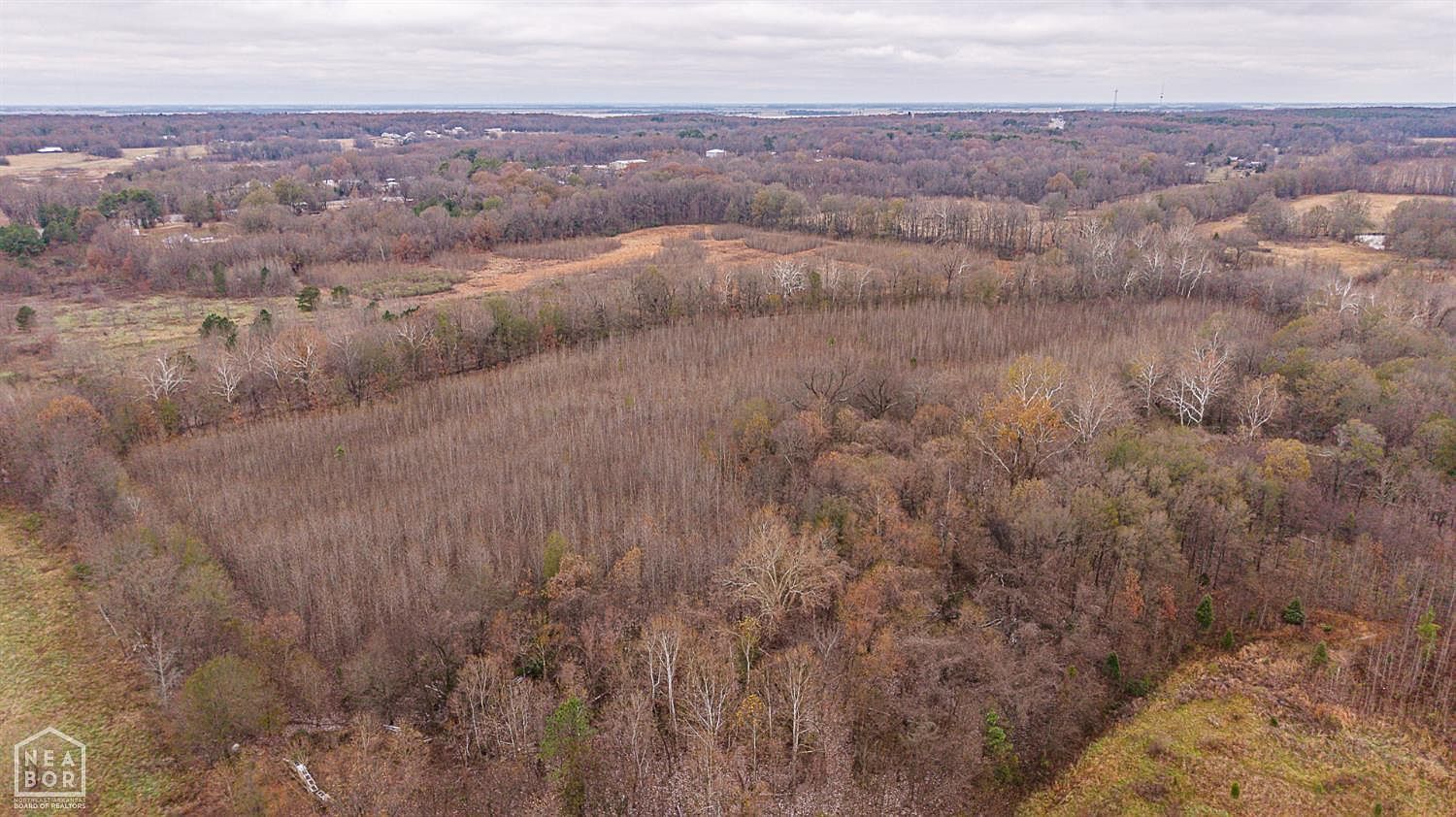 7698 Highway 63 N Bono, AR 72416  | Land/Lot