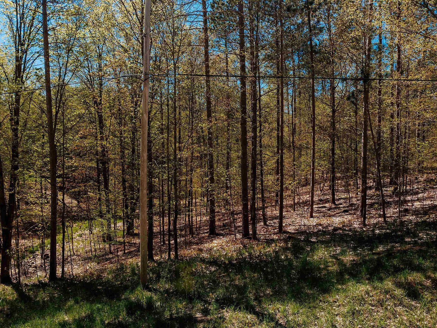 PARCEL Rahe Rd #A Kingsley, MI 49649 | Land/Lot