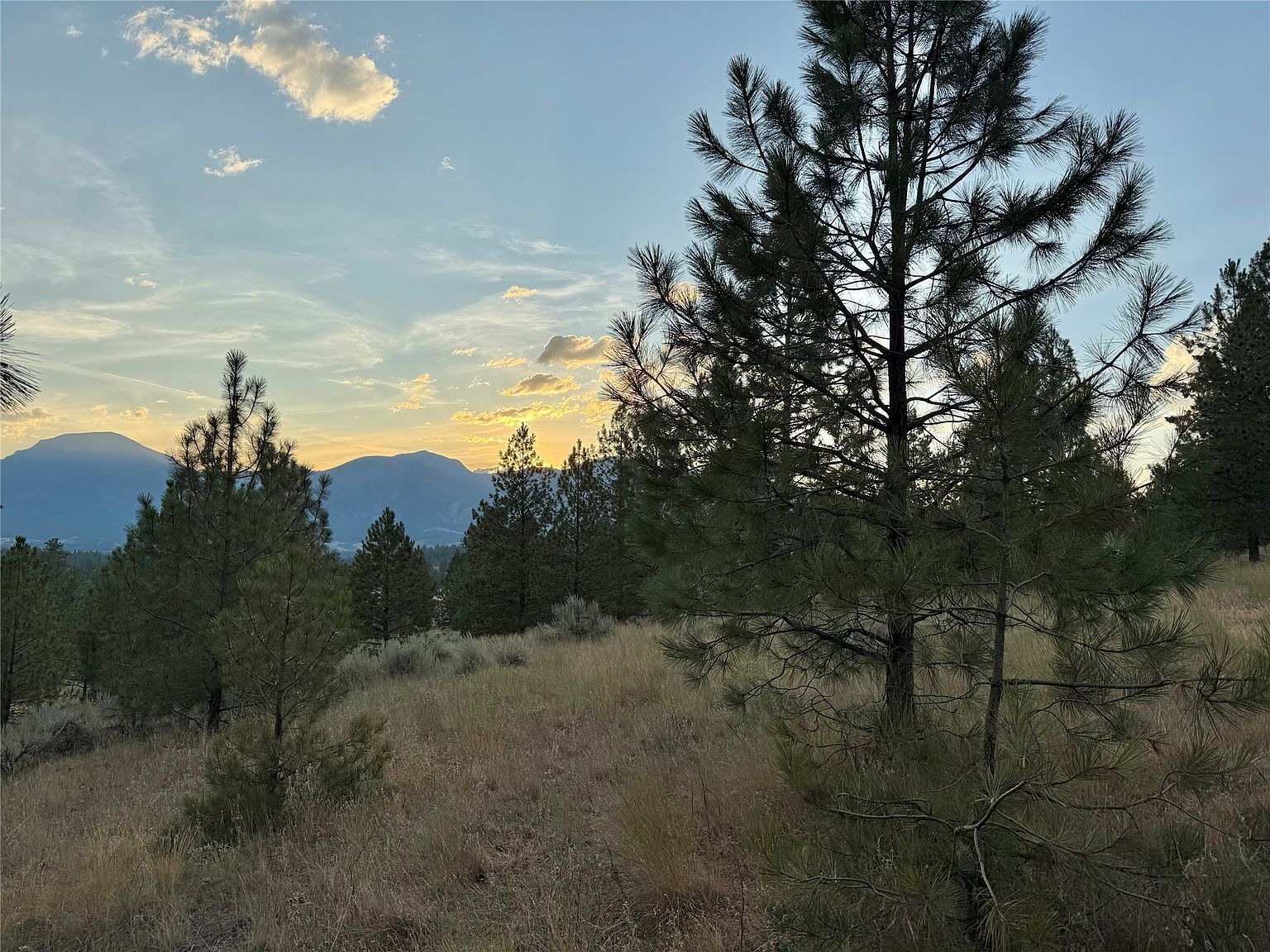 Nhn Stans Way Stevensville, MT 59870  | Land/Lot