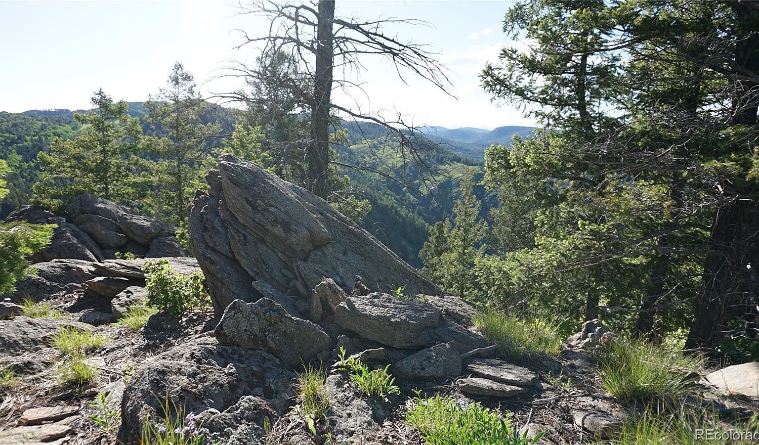 13864 N Trail Cir Littleton, CO 80127  | Land/Lot