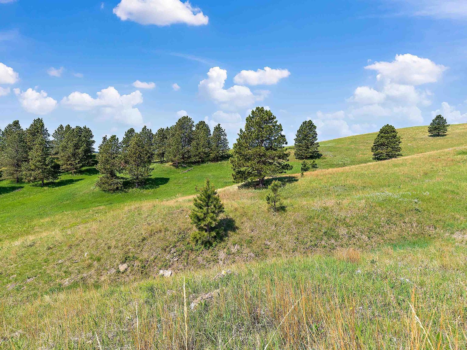 3949 Twisted Oak Rd Sturgis, SD 57785  | Land/Lot