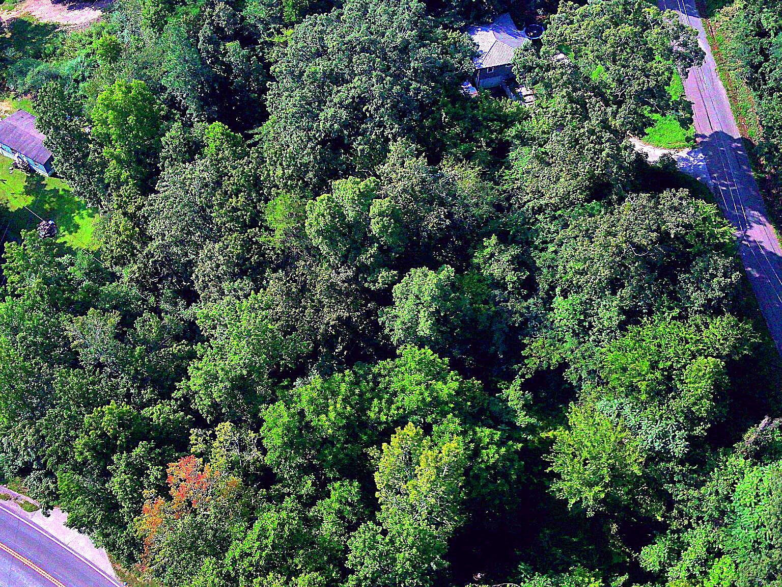 3734 Us Highway 41 Ringgold, GA 30736 | Land/Lot