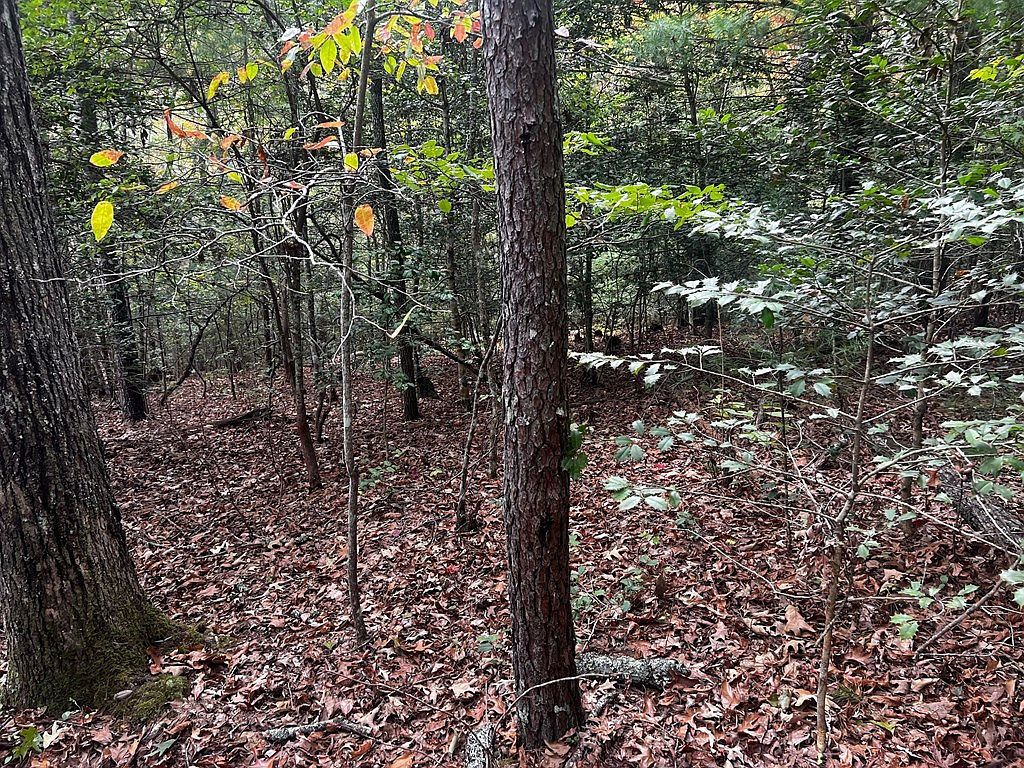 John Taylor Rd Murphy, NC 28906  | Land/Lot