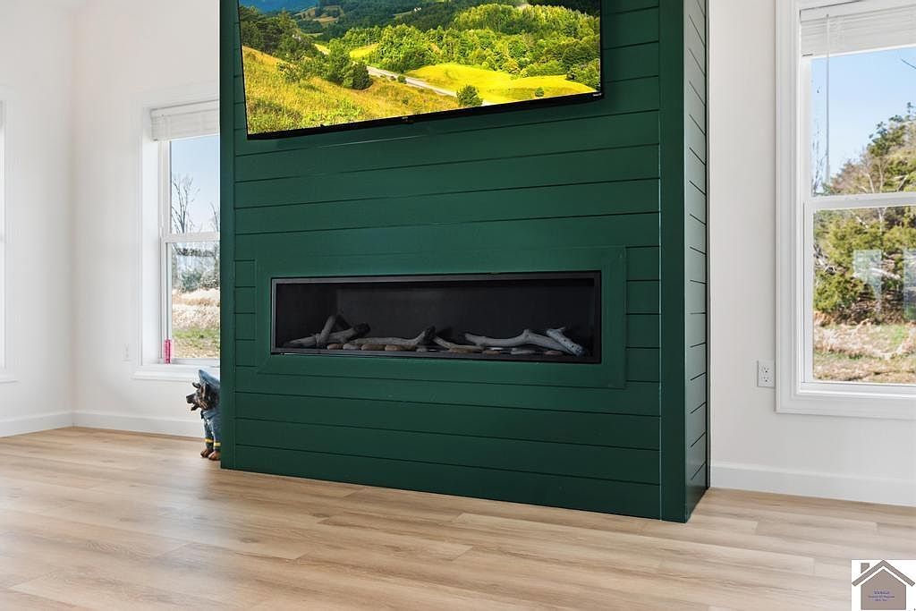 161 Bethany Church Rd Princeton, KY 42445  | Single Family