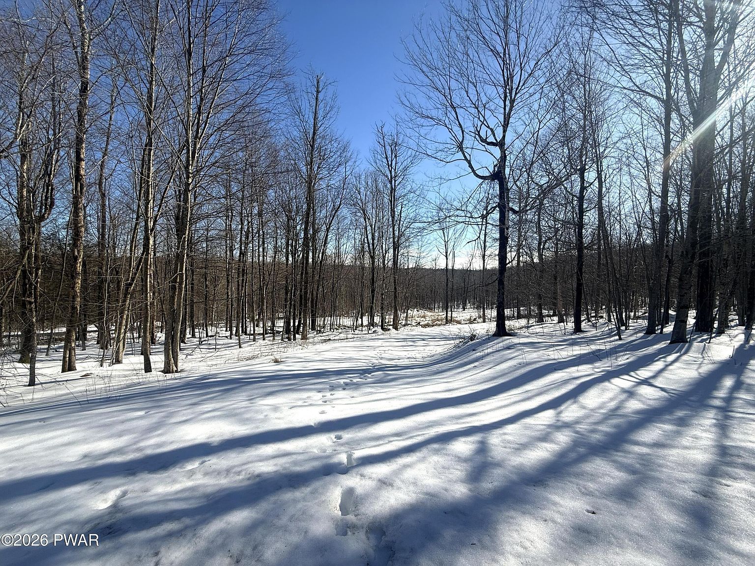 23 Bridle Way Equinunk, PA 18417 | Land/Lot