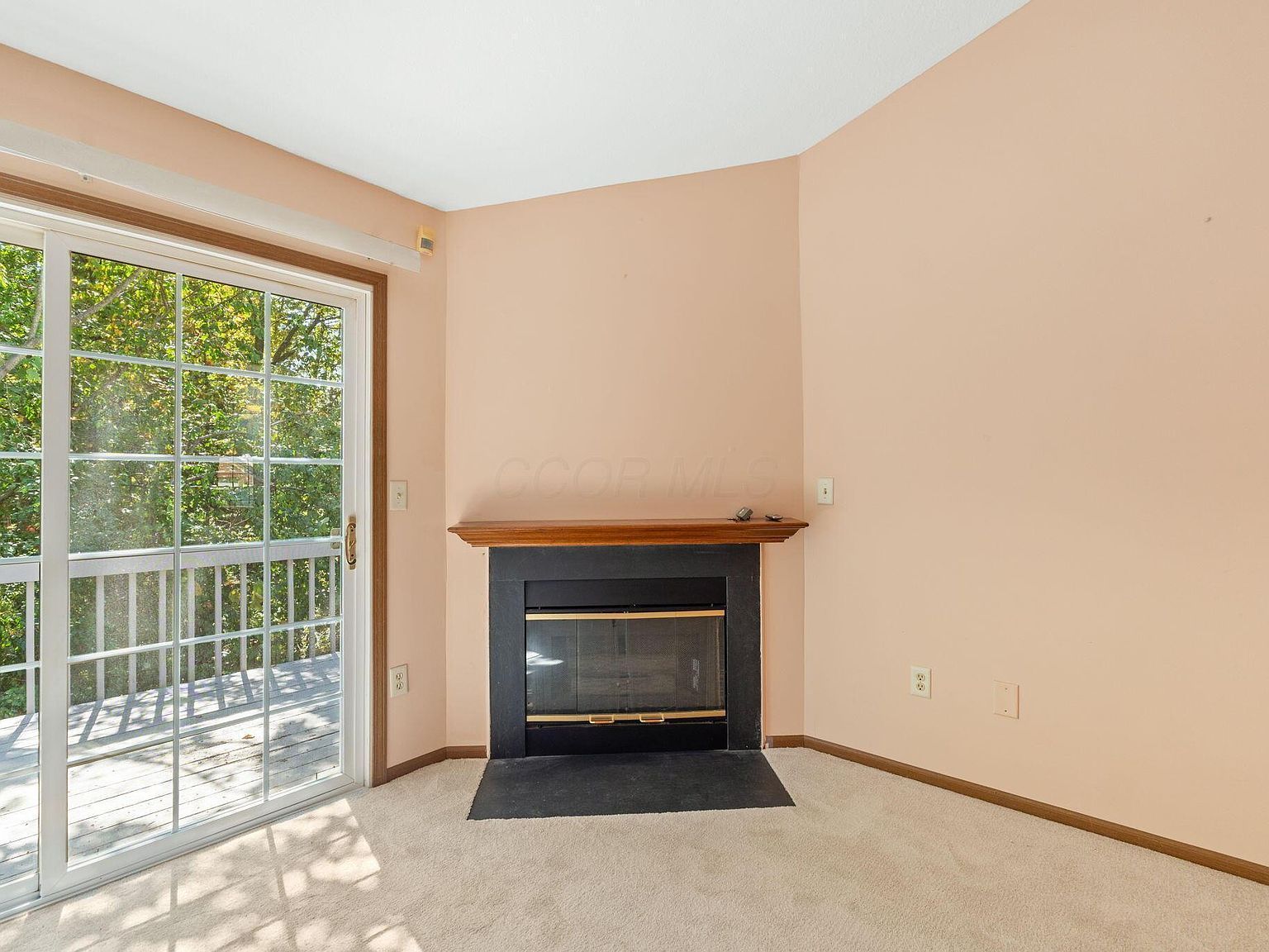 4512 White Leaf Way Columbus, OH 43228  | Condominium