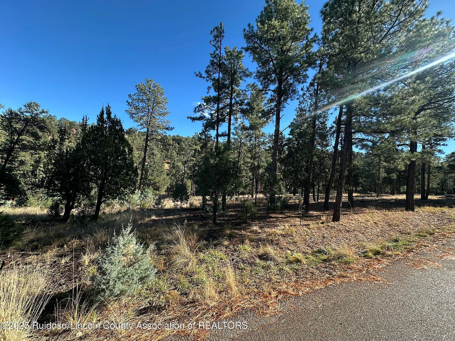 152 Del Monte Dr Alto, NM 88312 | Land/Lot