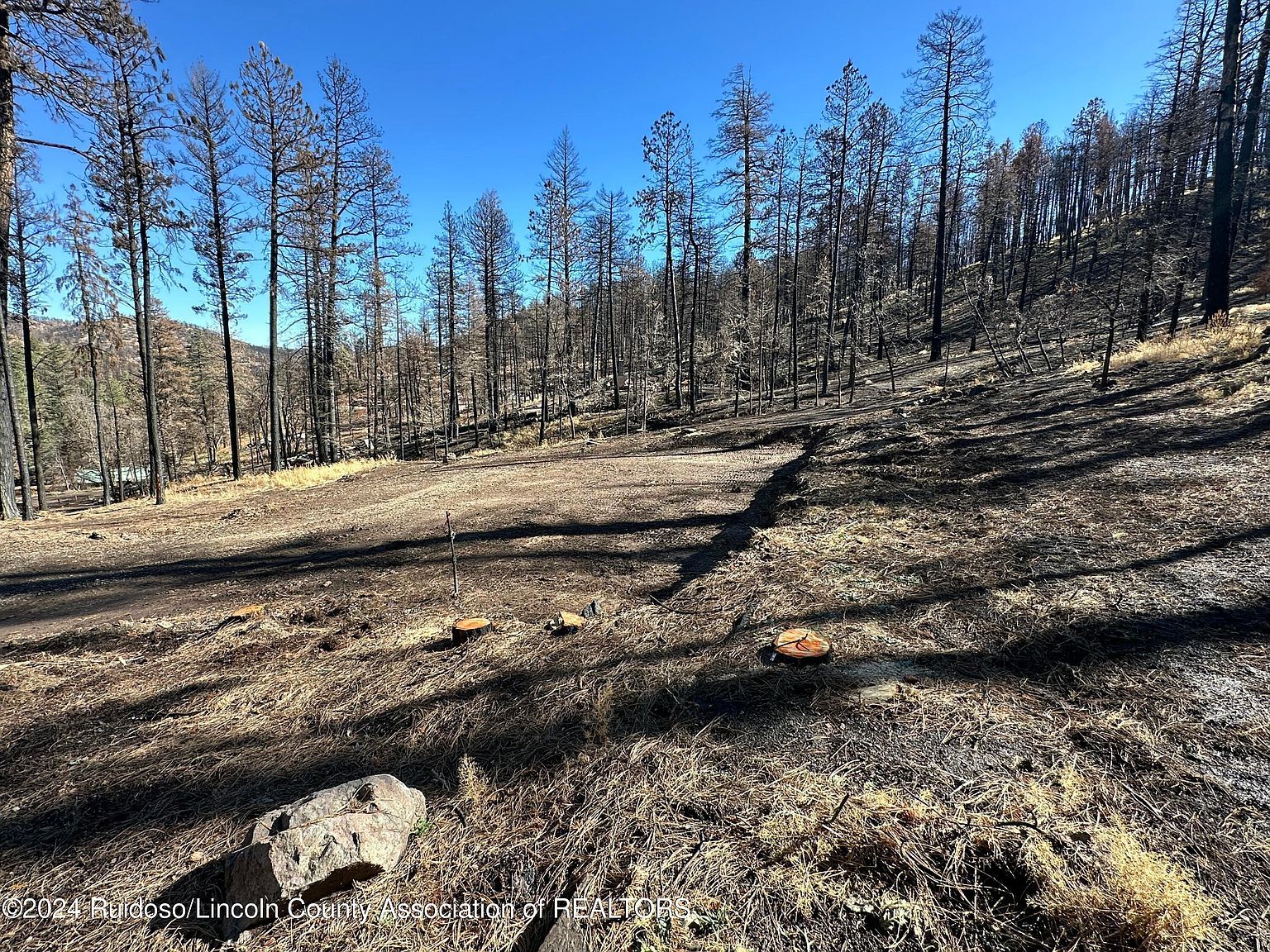 155 Jarratt Loop Ruidoso, NM 88345  | Land/Lot