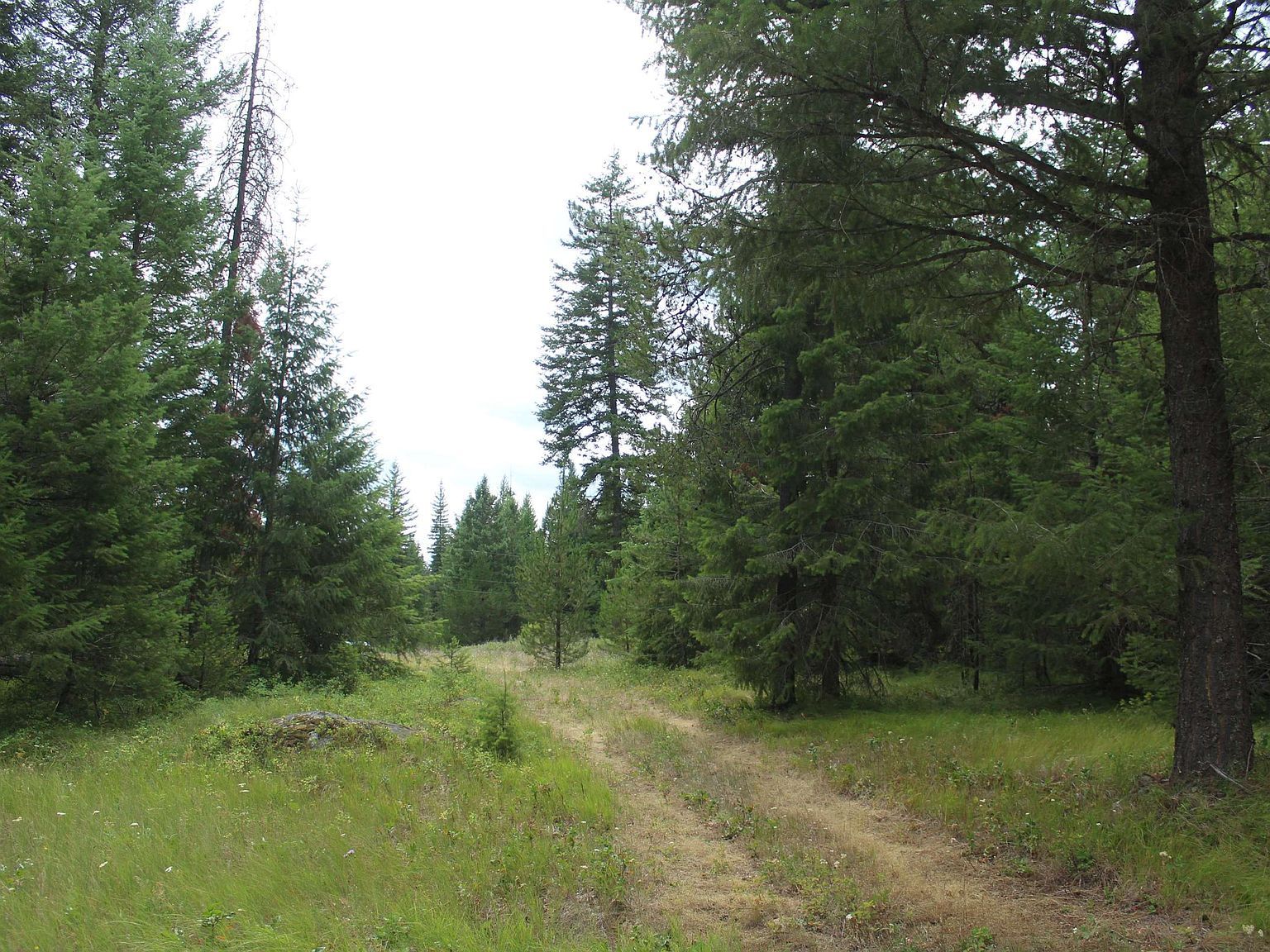 1XX Tennant Rd Newport, WA 99156  | Land/Lot