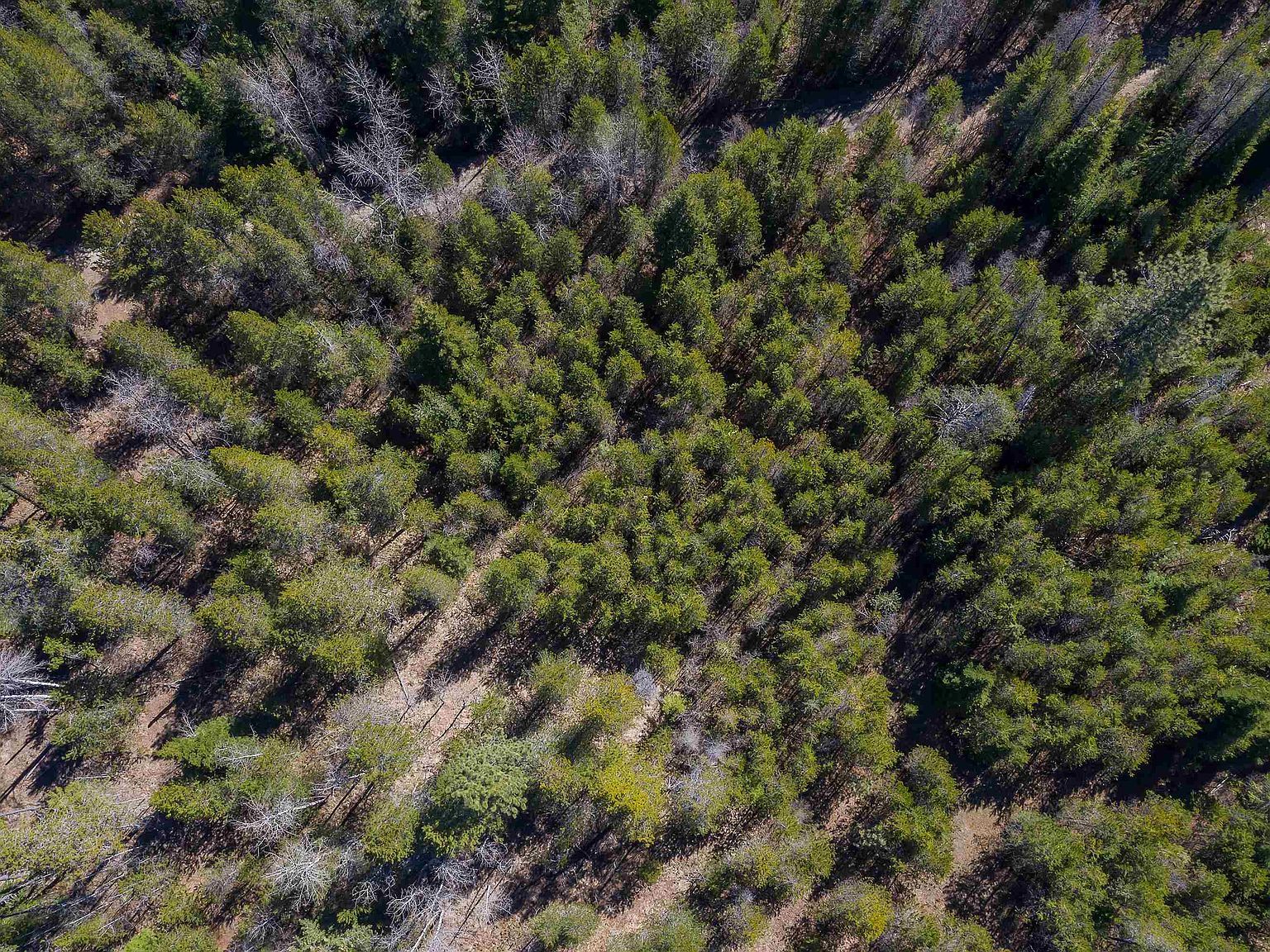 1232 Vista Dr Newport, WA 99156 | Land/Lot