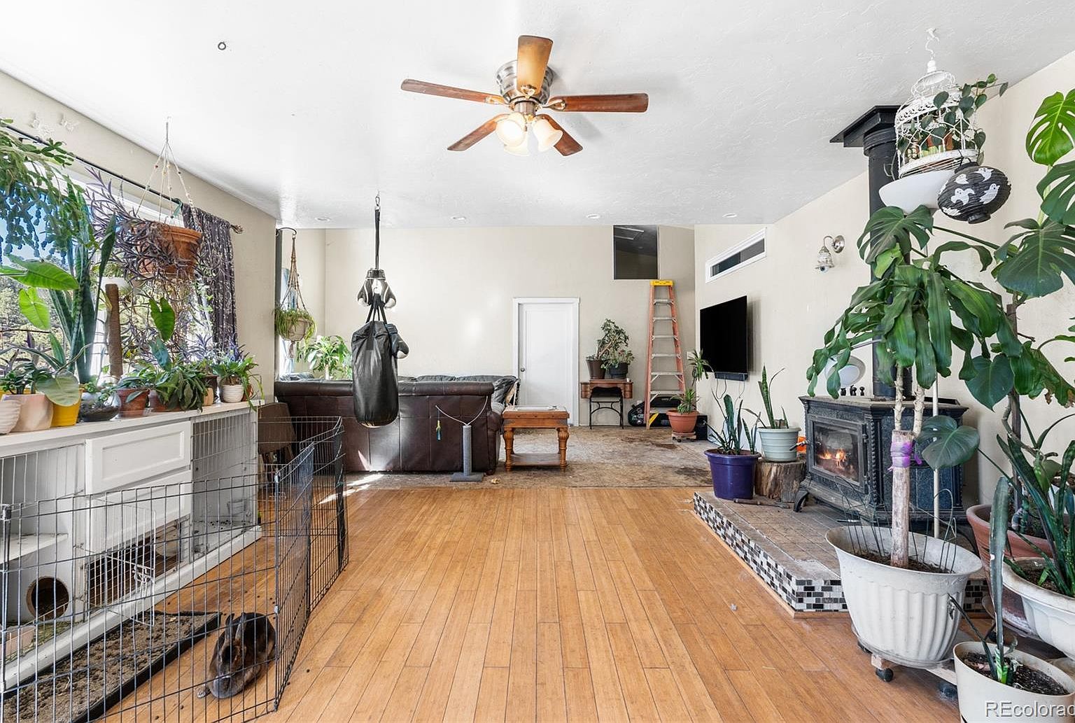 947 Sleepy Hollow Dr Bailey, CO 80421  | Single Family