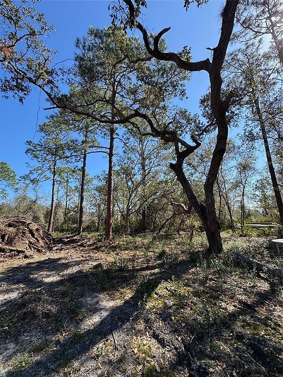 Shore Dr Lot 28 Lake Wales, FL 33898  | Land/Lot