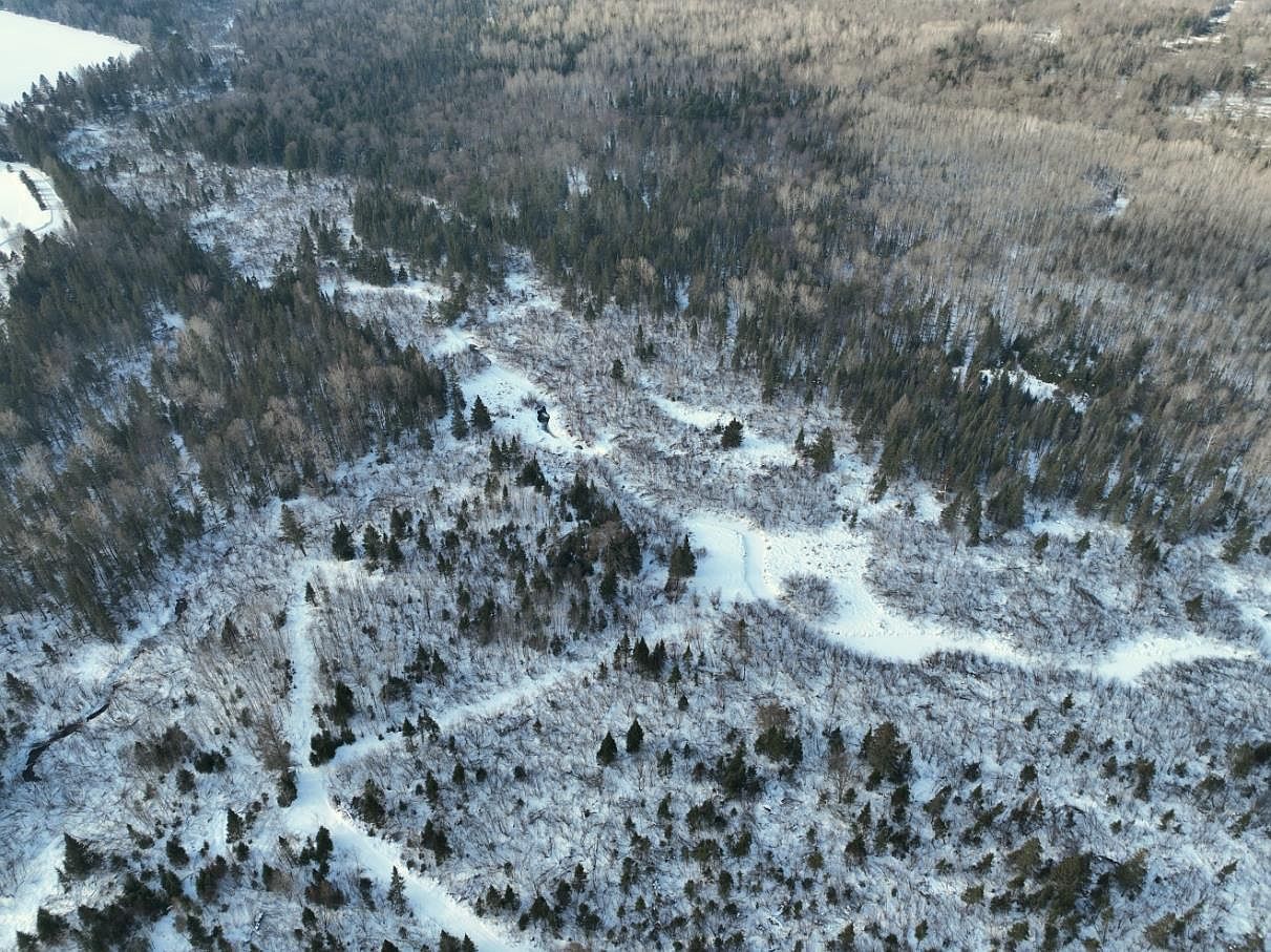 N6371 County Line Rd Gleason, WI 54435  | Land/Lot