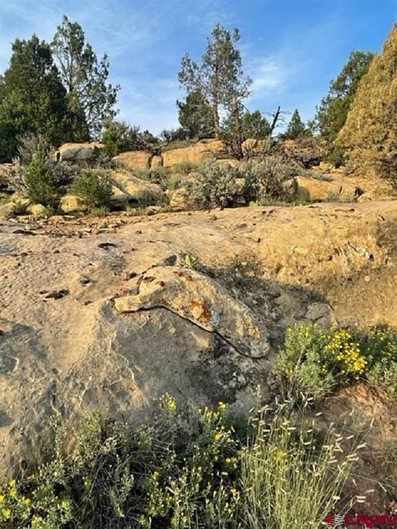 County Road 109 Hesperus, CO 81326  | Land/Lot