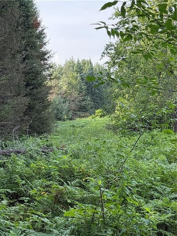 0 Tagalder Trl Hayward, WI 54843 | Land/Lot