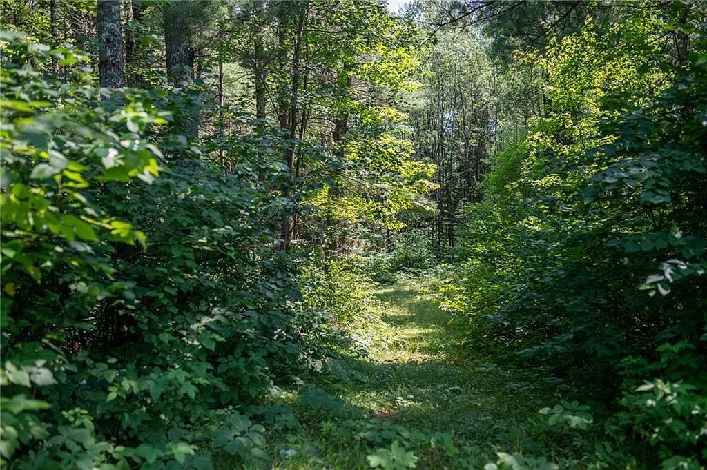 4999 N Smith Rd Couderay, WI 54828  | Single Family