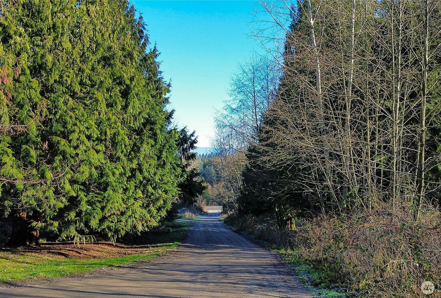 14303 89th Ave SE Snohomish, WA 98296 | Land/Lot