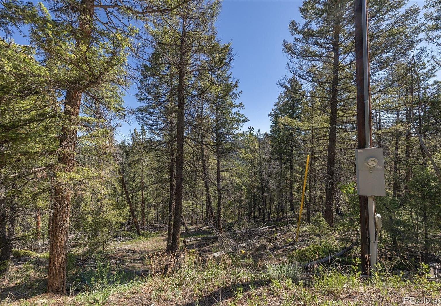 0 Ponderosa Dr Conifer, CO 80433 | Land/Lot