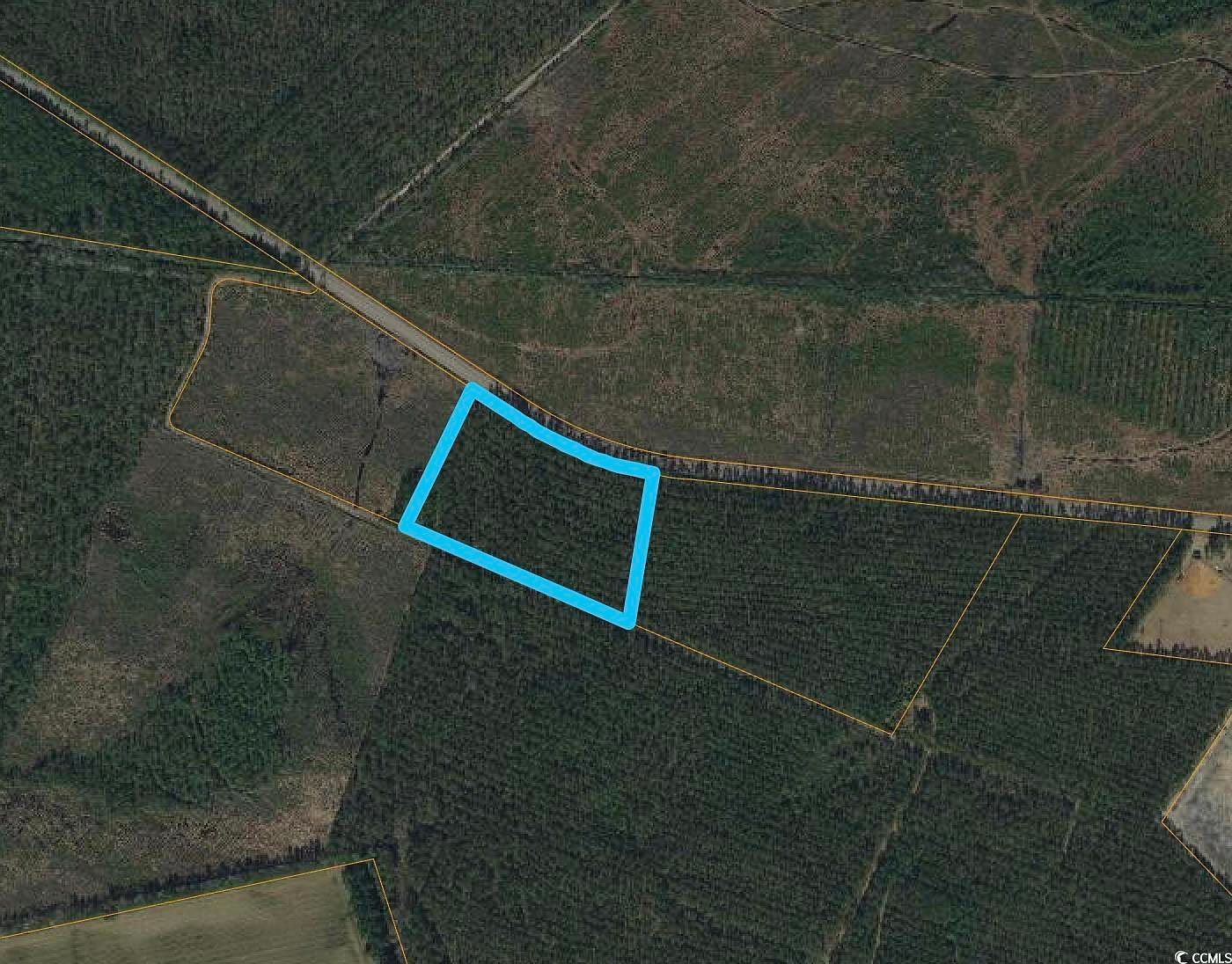 Joyner Swamp Rd Galivants Ferry, SC 29544  | Land/Lot