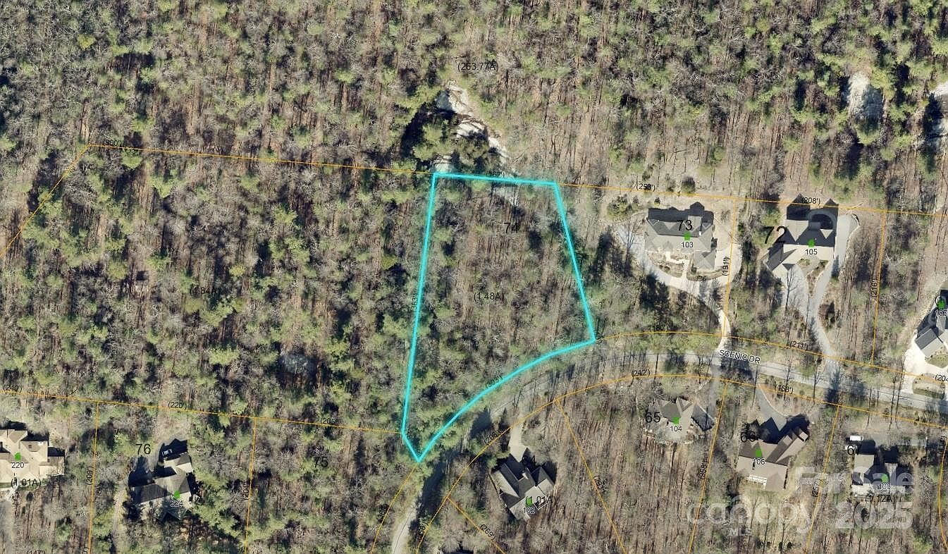 101 Scenic Dr #74 Flat Rock, NC 28731  | Land/Lot