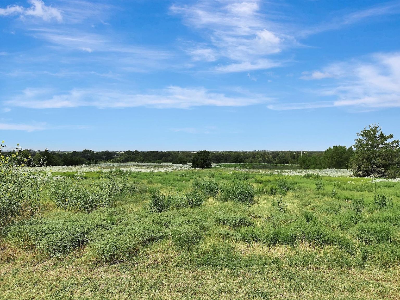 8515 Sandy Hill Rd Brenham, TX 77833  | Single Family