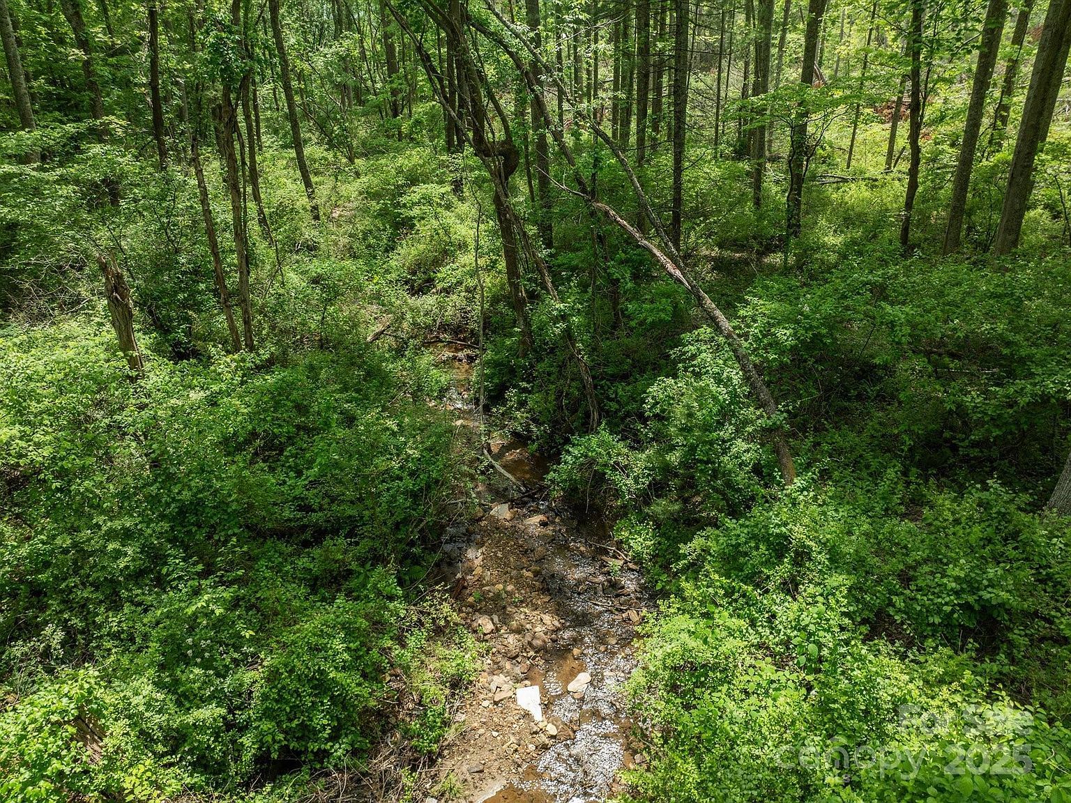 99999 Moody Cove Rd #1 Weaverville, NC 28787  | Land/Lot