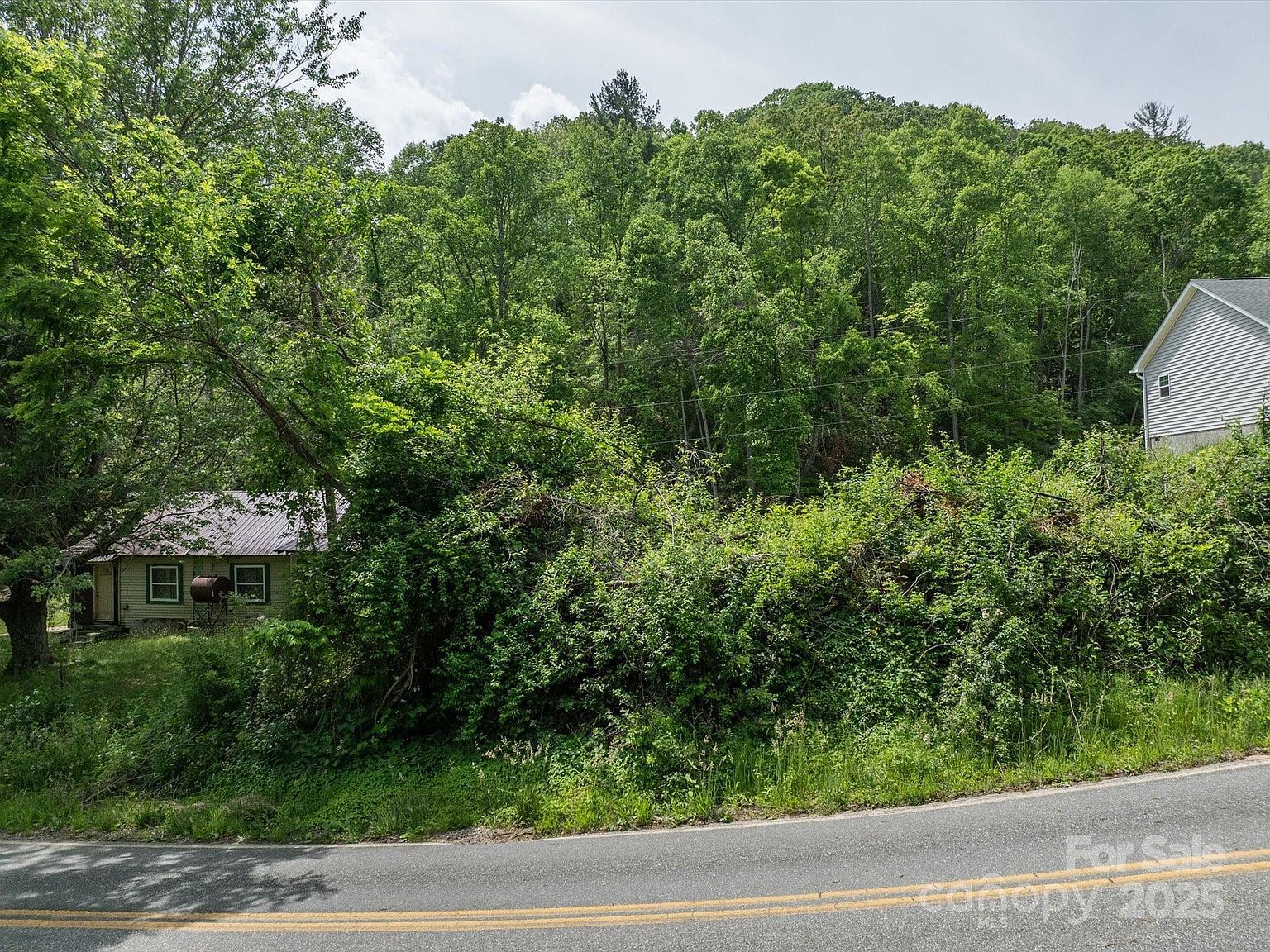 99999 Moody Cove Rd #3 Weaverville, NC 28787  | Land/Lot
